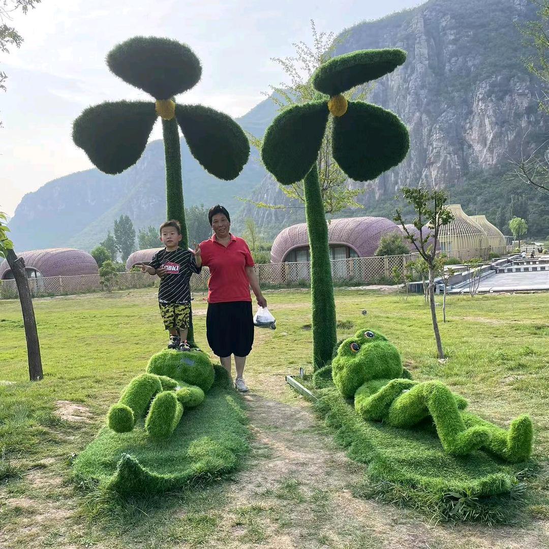 水样年花20
