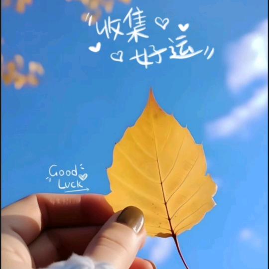 ꧁ღ꧂: 🥀᭄幸运草꧔ꦿᩚ💕