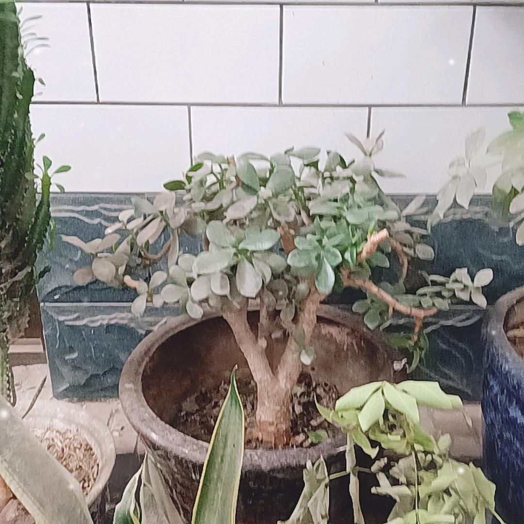 一念一清净