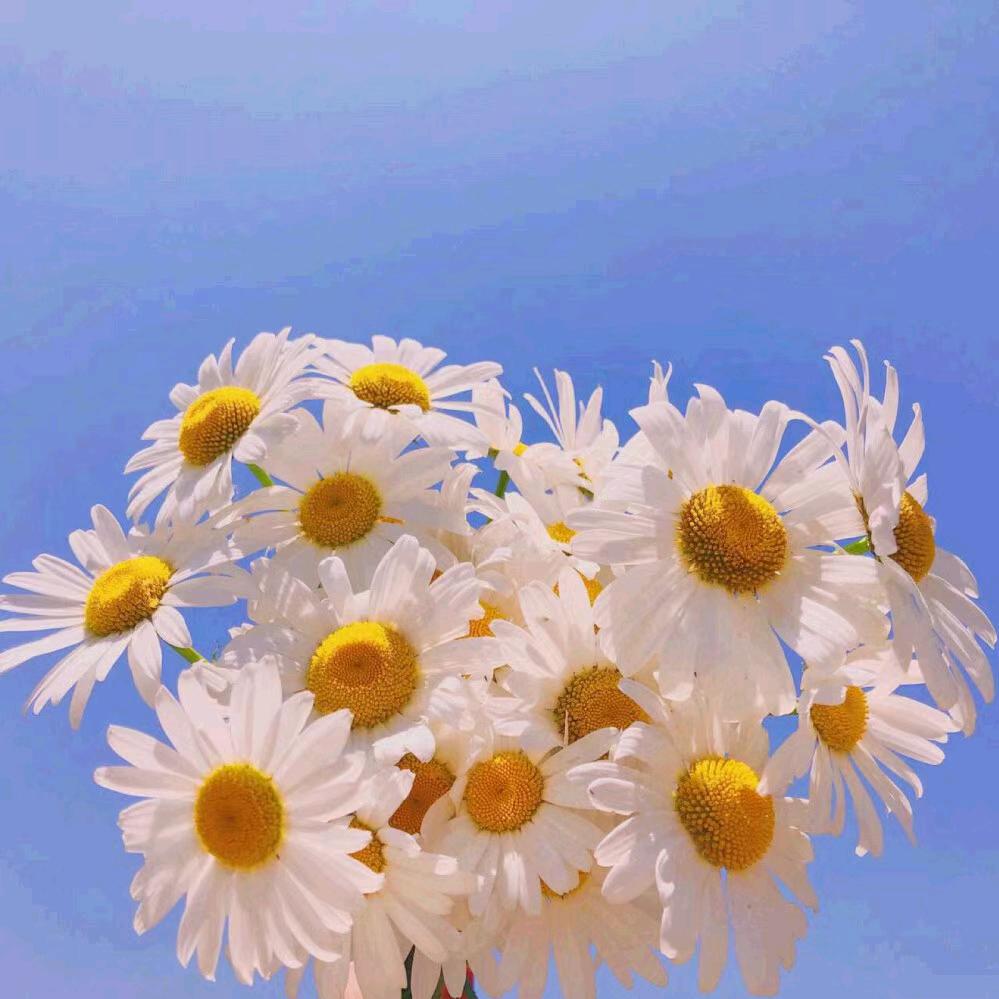 夏末呀