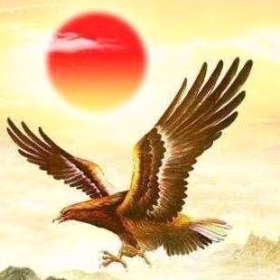 大鹏展翅翱翔