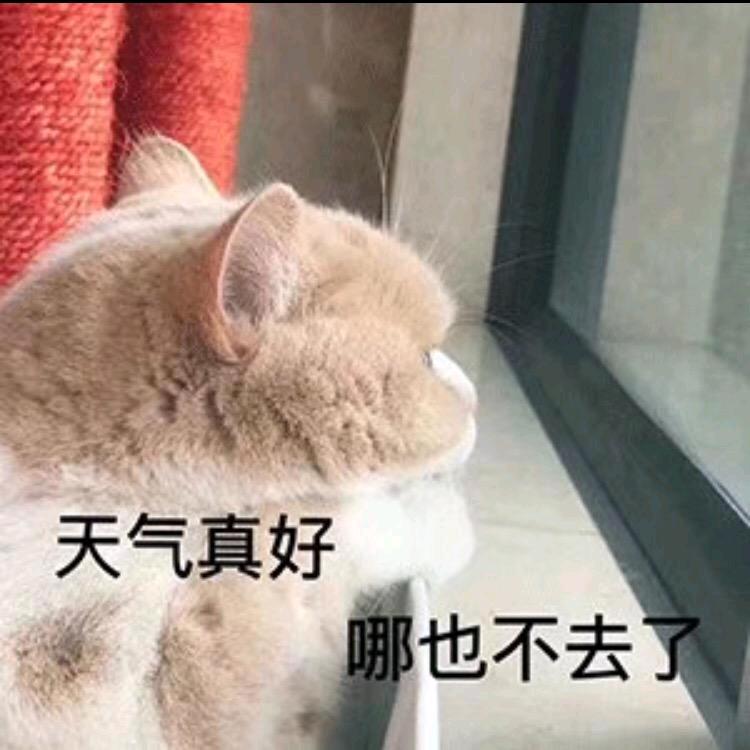 ꧔ꦿ᭄ 自ঞᩚ渡꧔ꦿ᭄.