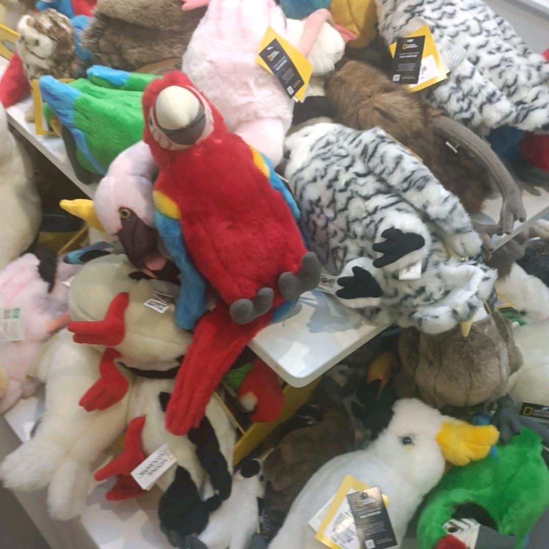 siri打开我的相册