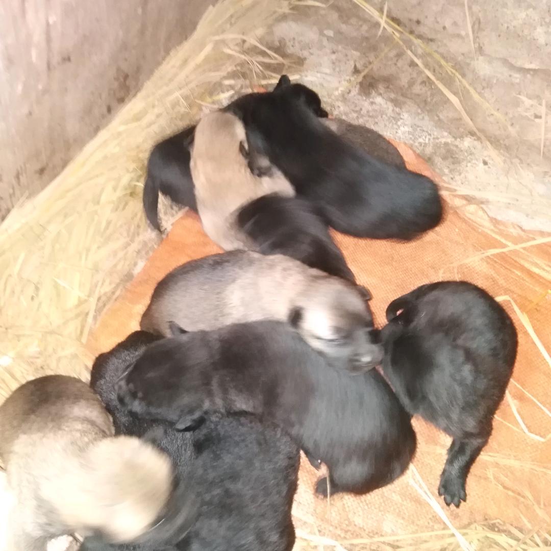 平平淡淡才是真