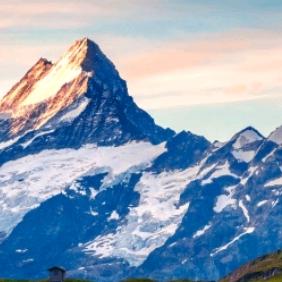 你沉默的喊叫孤單開始發酵