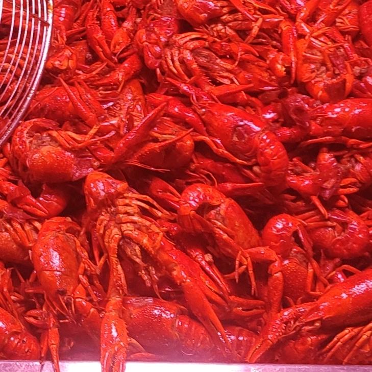 🌈🌈东北人在广州🌈🌈