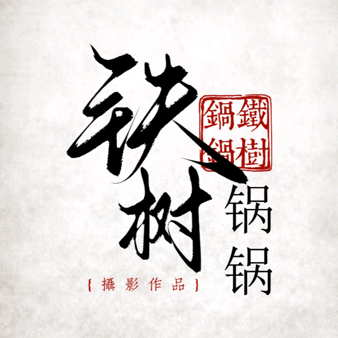 铁树锅锅📷