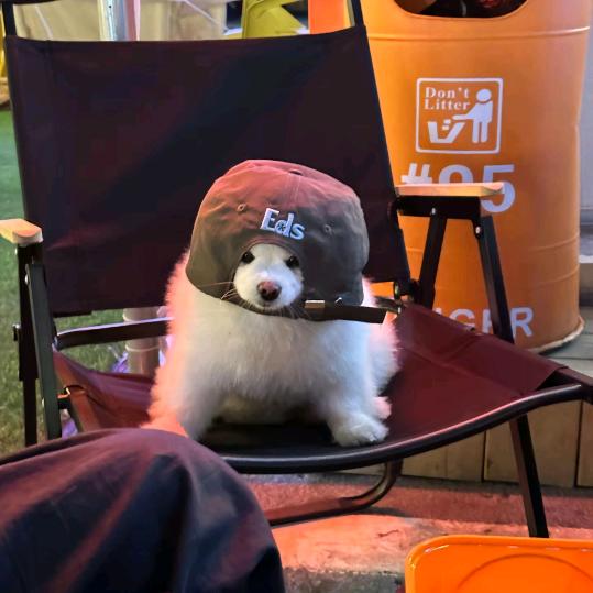 小老张