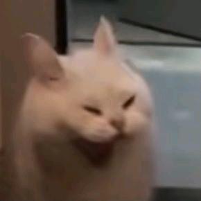 墨华晨