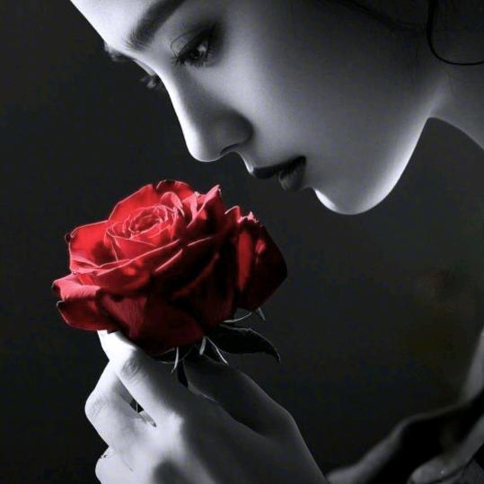 💕᭄始于初见᭄༊