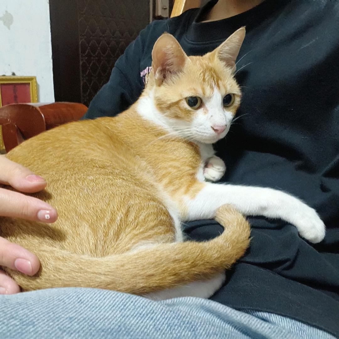 潇素素的家