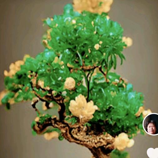 高大姐😊