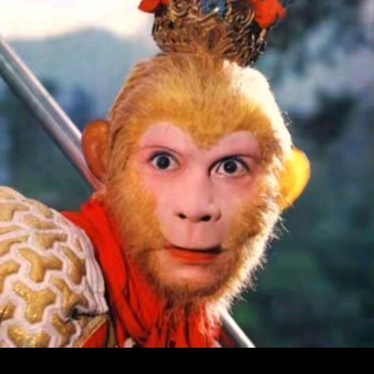 大🐒师🐒兄