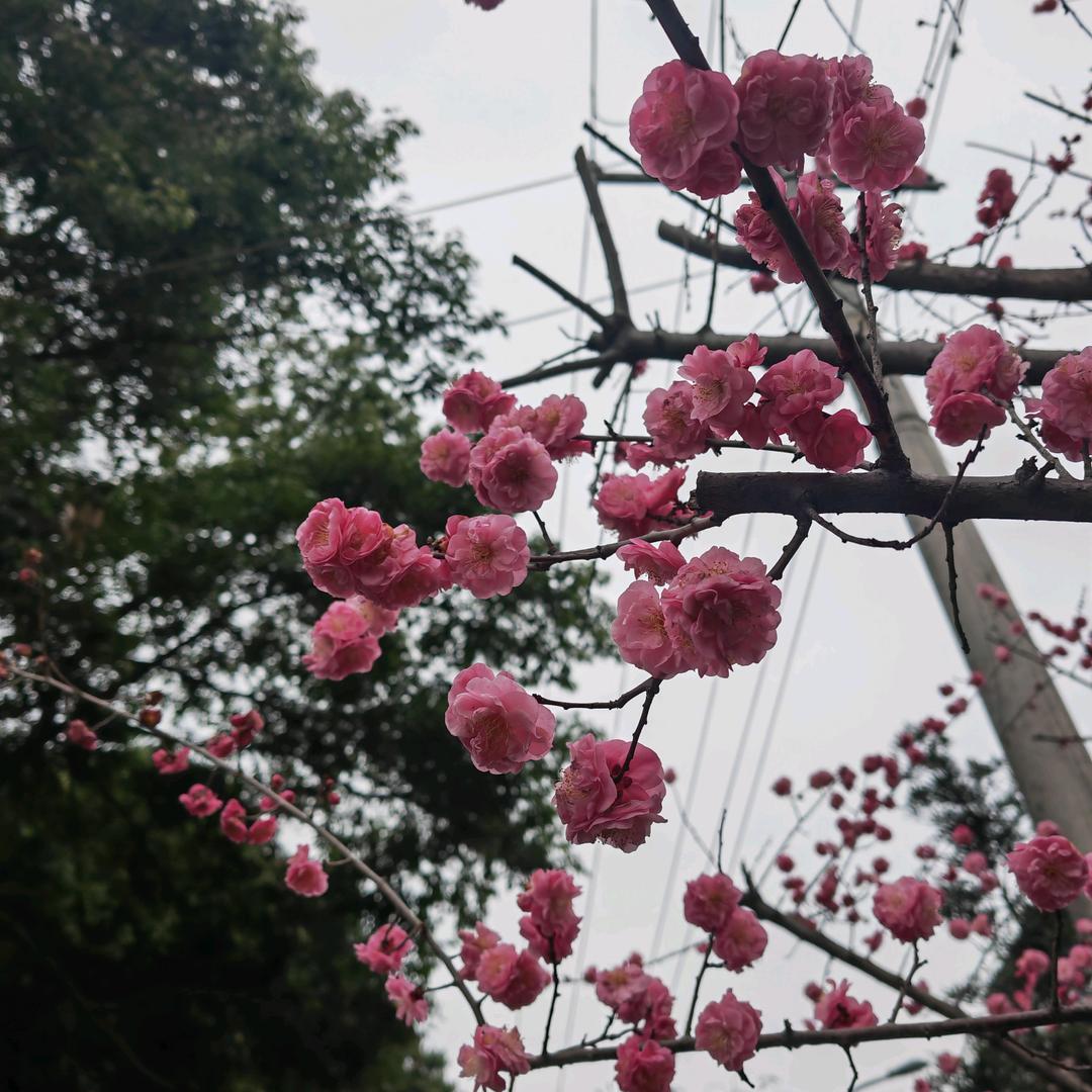 美丽的相遇