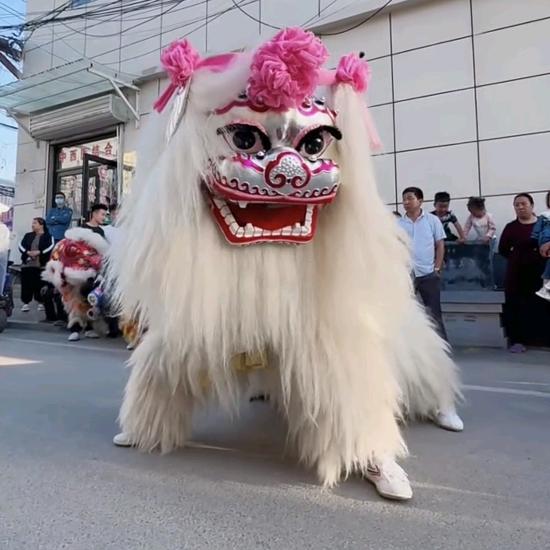 河南濮阳专业舞狮团