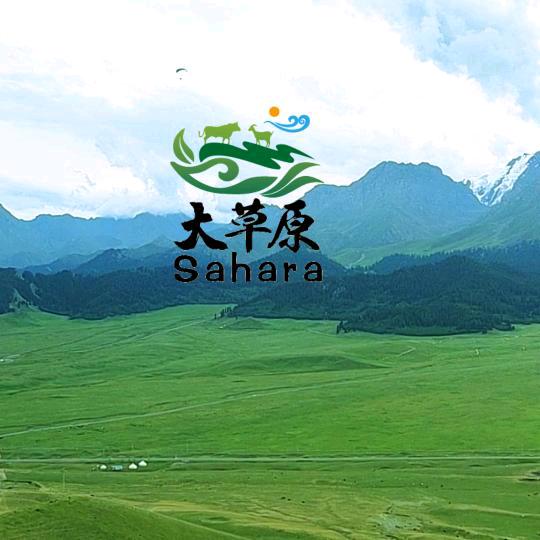 大草原Sahara乳制品（连赞拉黑）