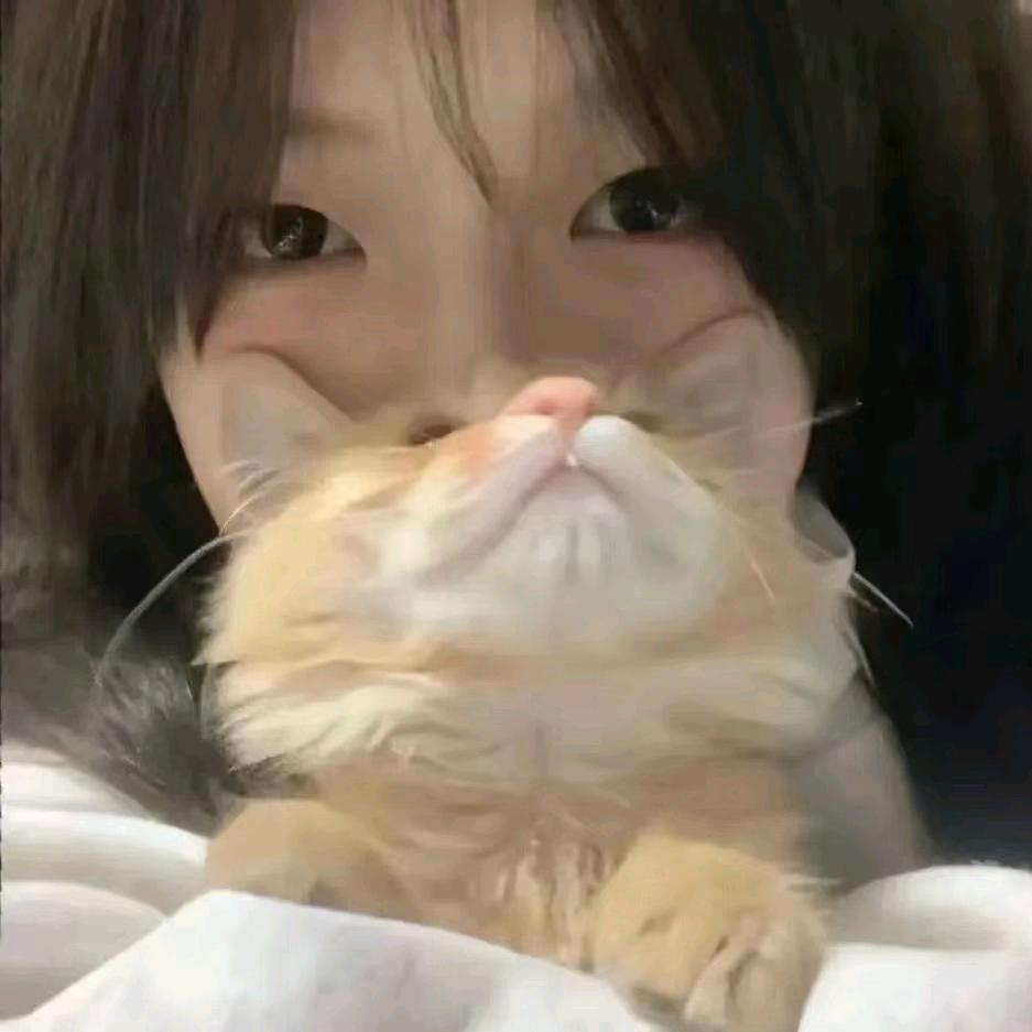 星琳