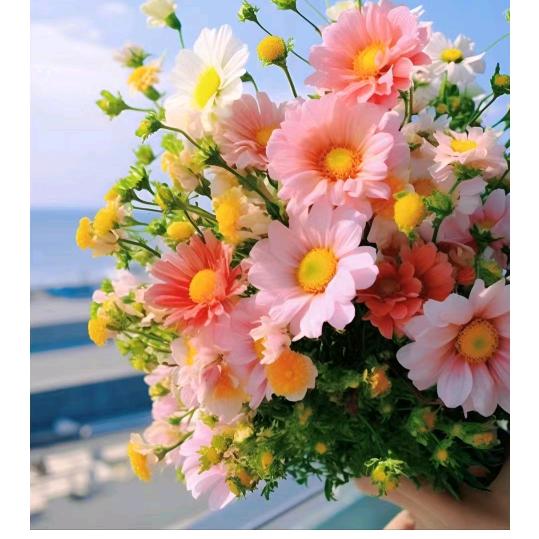 镜中花2