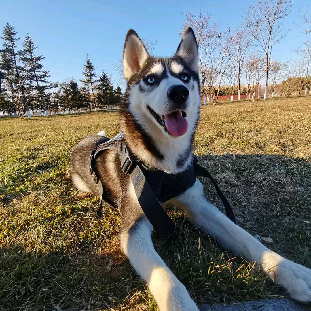 🌈活成自己想要的样子🌈