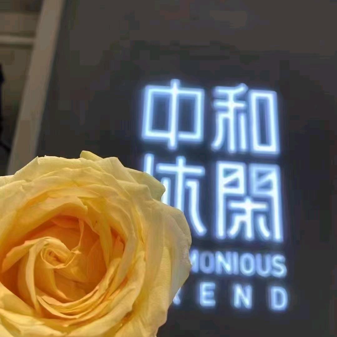 梅子的幸福生活