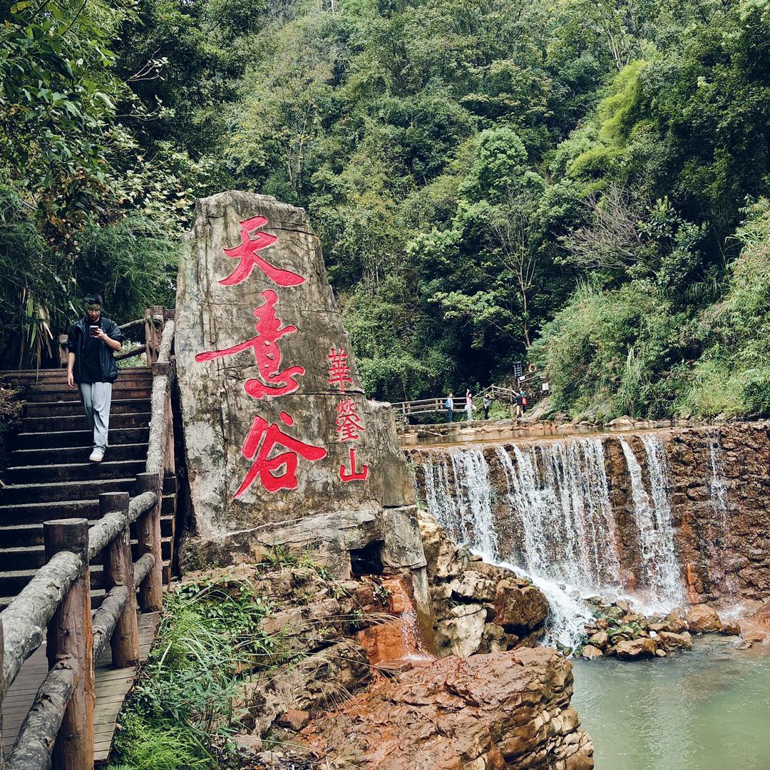 吃喝玩乐