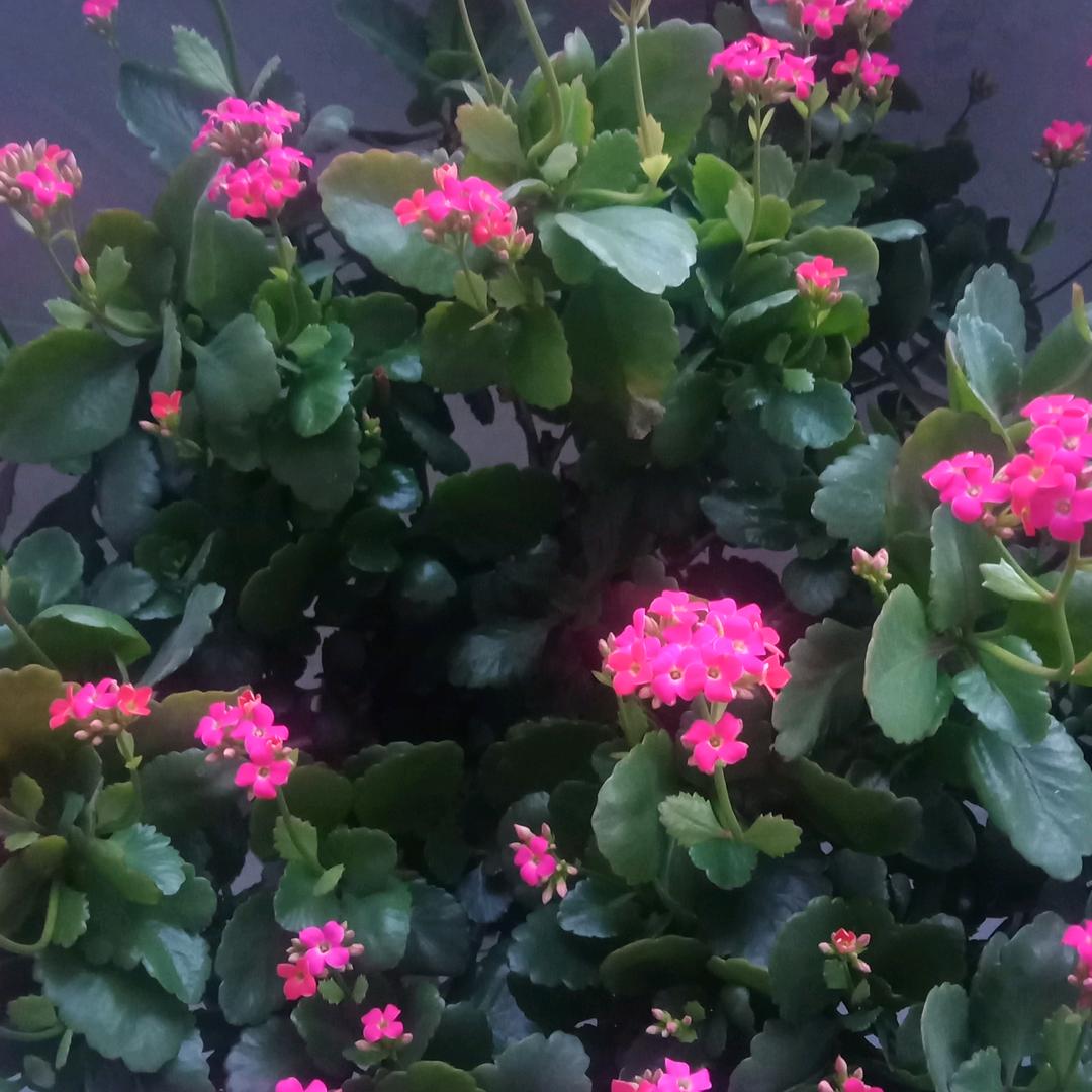 坚强，奋斗。👏👏