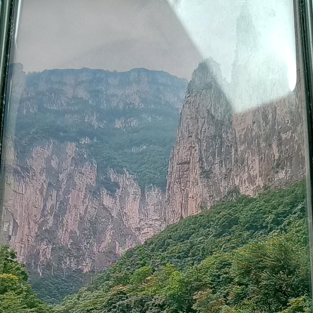 一片禅心悲众僧