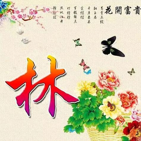 小强26924