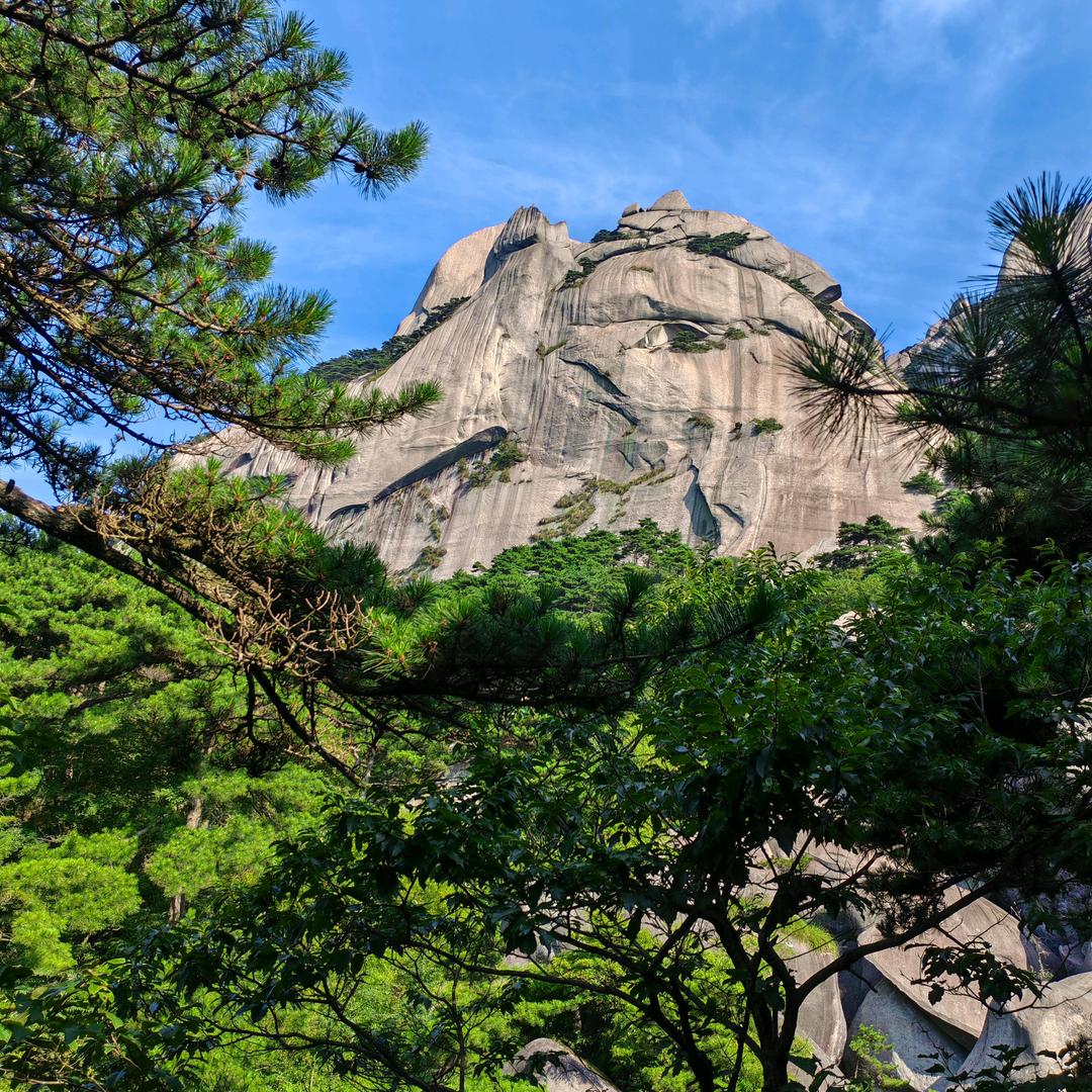 大宝