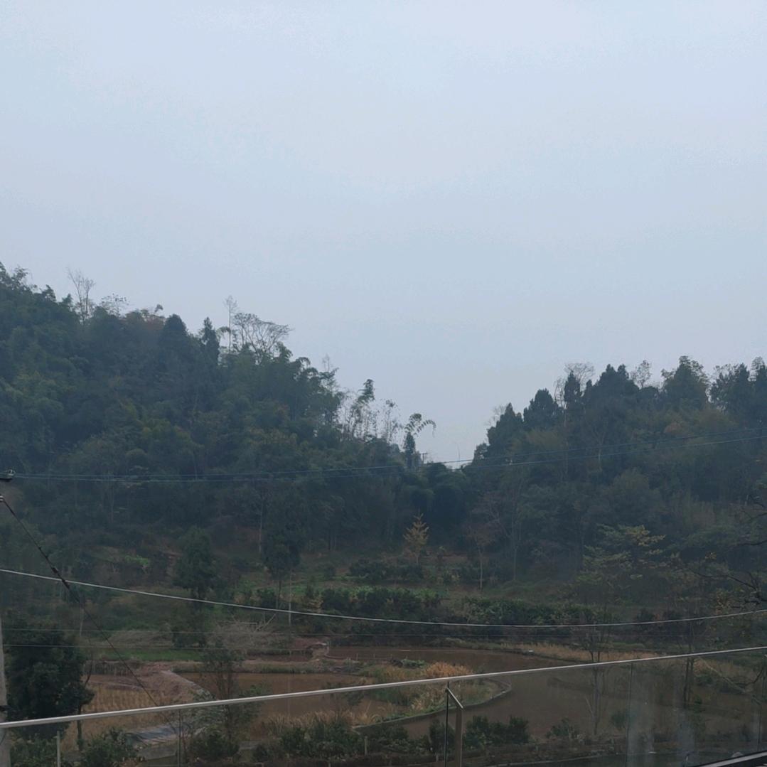 曼曼人生路