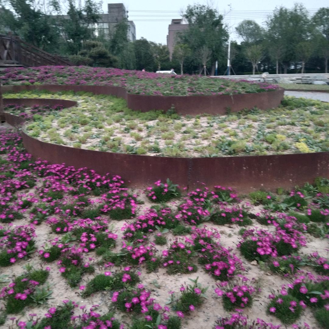 @余生★随心❤️