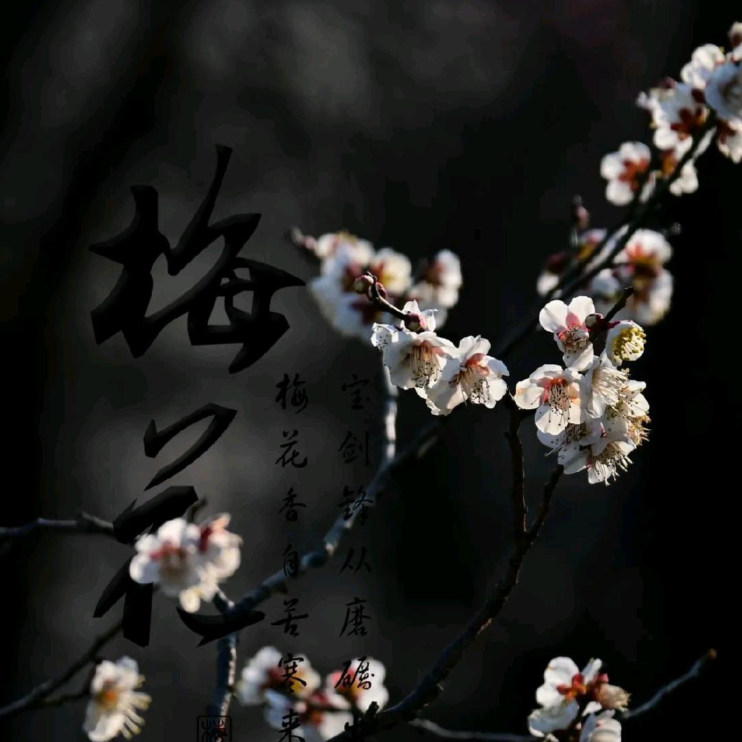 &我是檐上三寸雪，你是人间四月天&