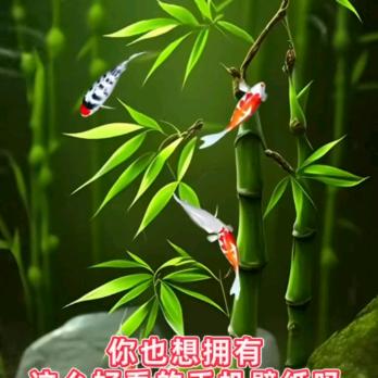 拼搏才是选择