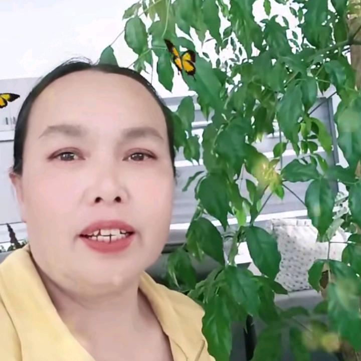 王  妹