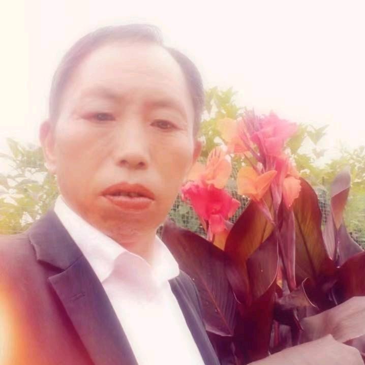 情总