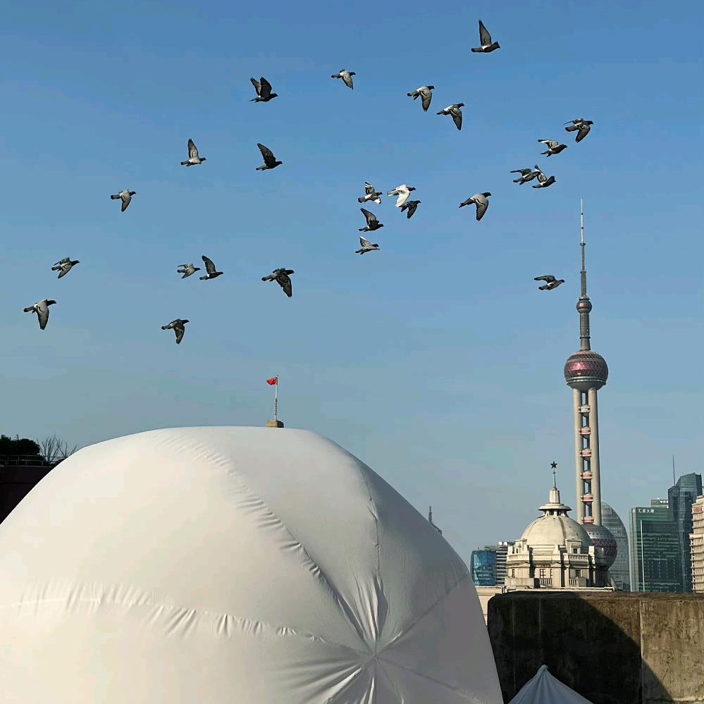 🌈一点点木子🌈