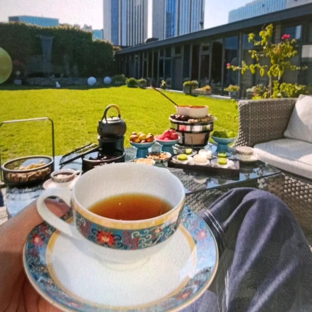 南风知我意