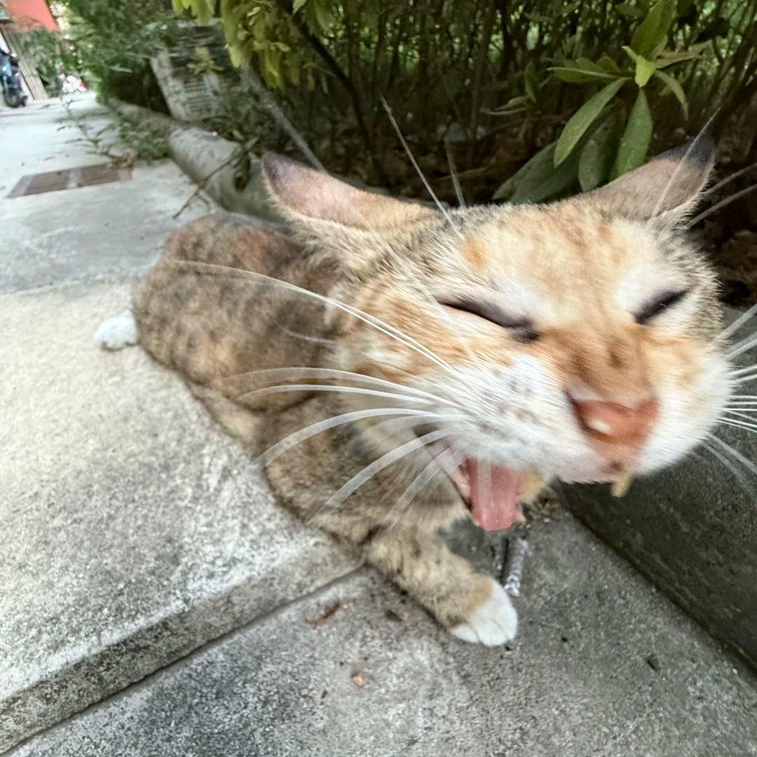 信封