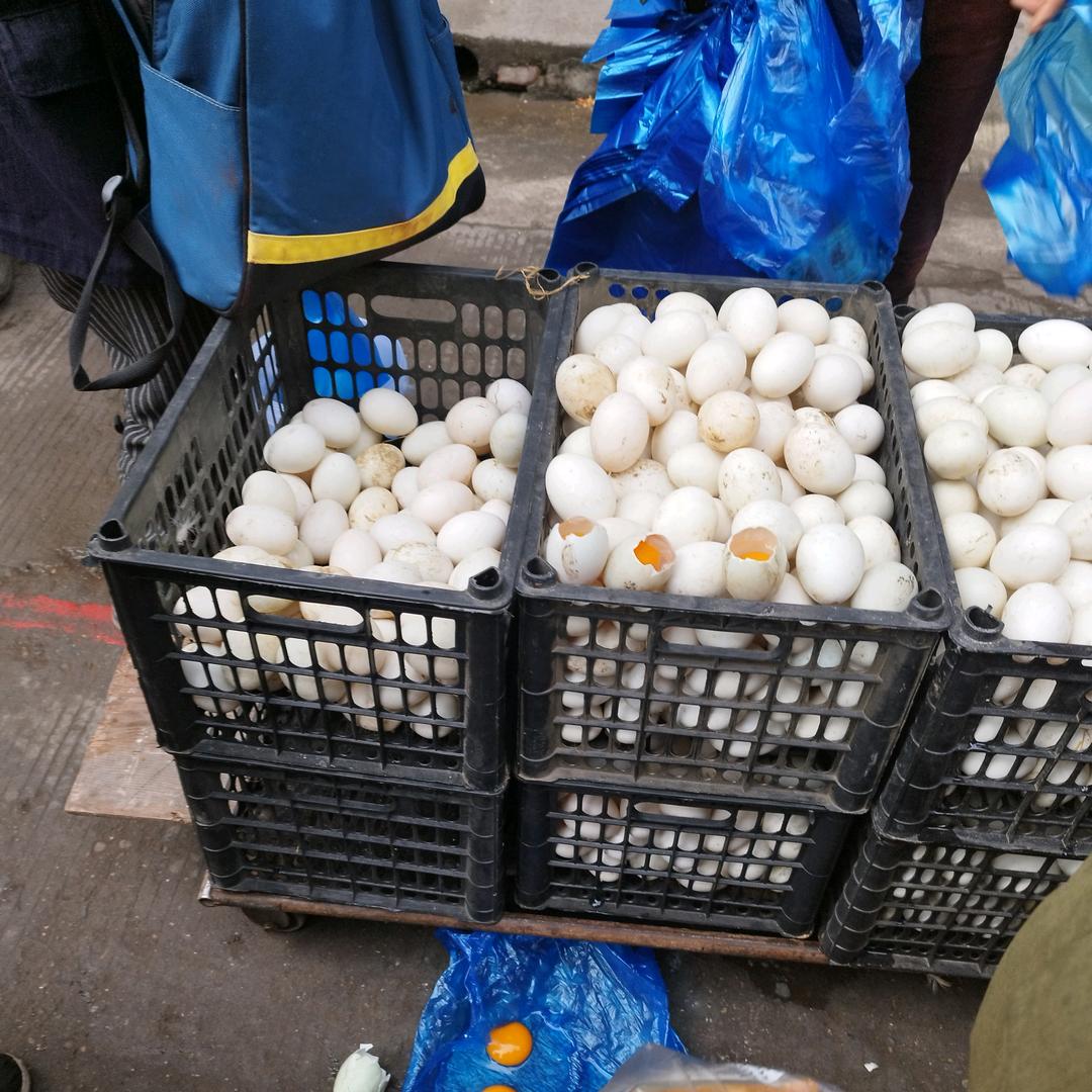 哥们只是个传说(关注)