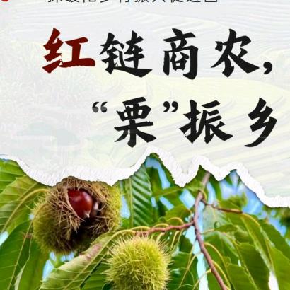 栗争商游振兴团