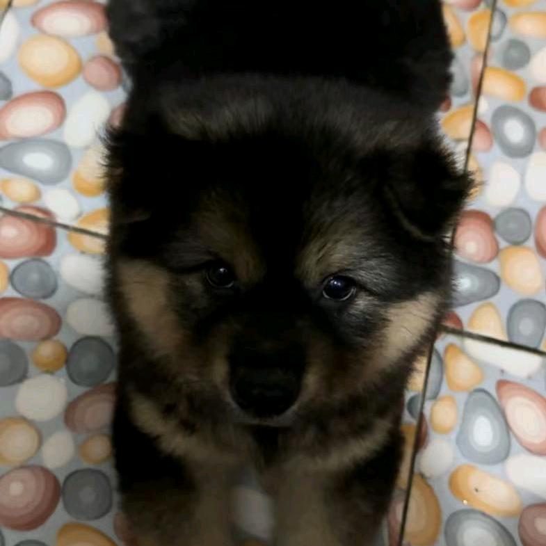 往你脸上抹黑炭