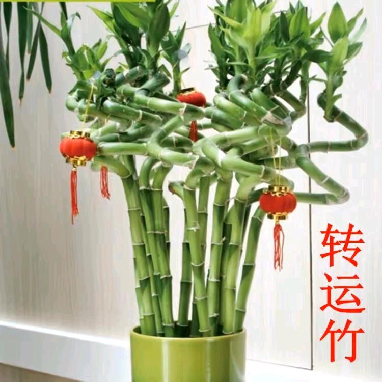 @（yotuzyvhit）“”