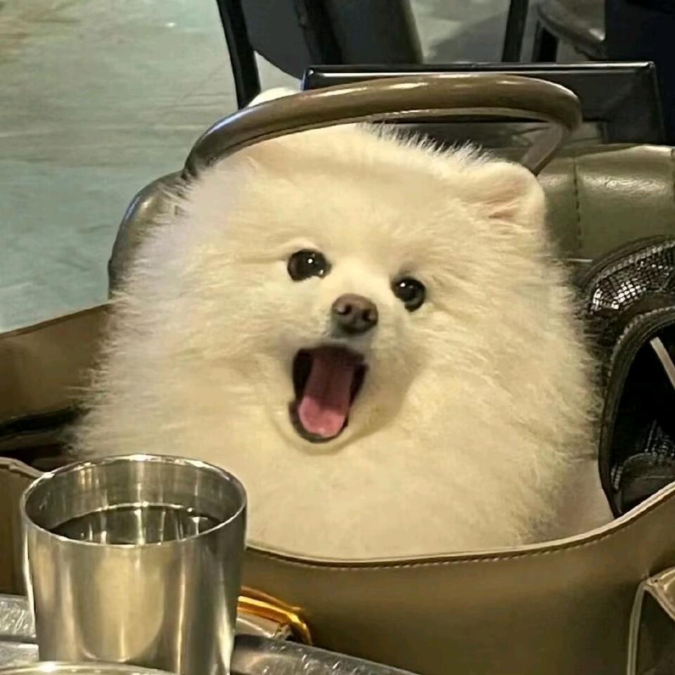 小guagua