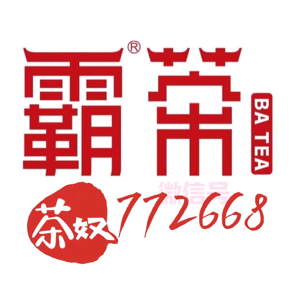 茶奴