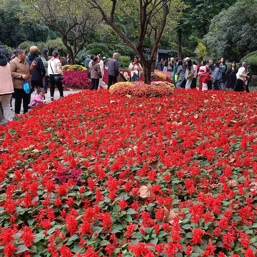 王二姐（每晚8点10分开直播）