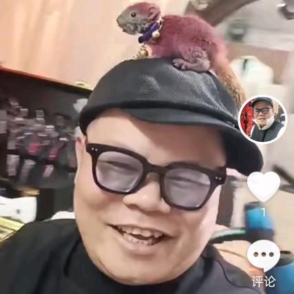 💥💥文少💥💥