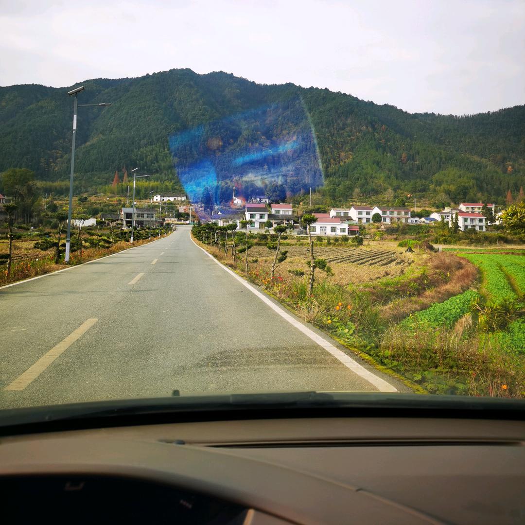 我吃西红柿@