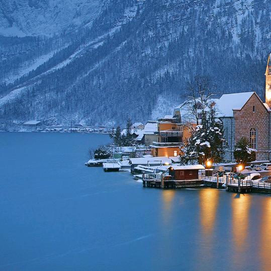 🦁️平淡如水，年华似水