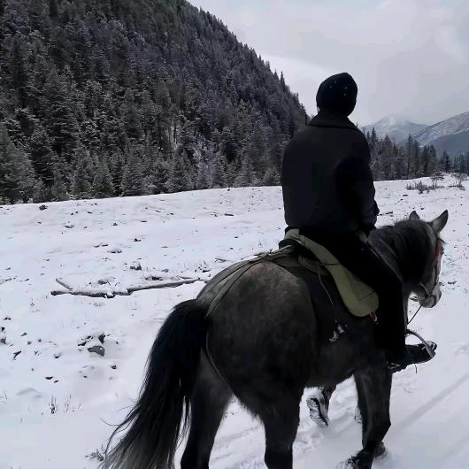 玻璃钢格栅花纹盖板光伏过道板厂家