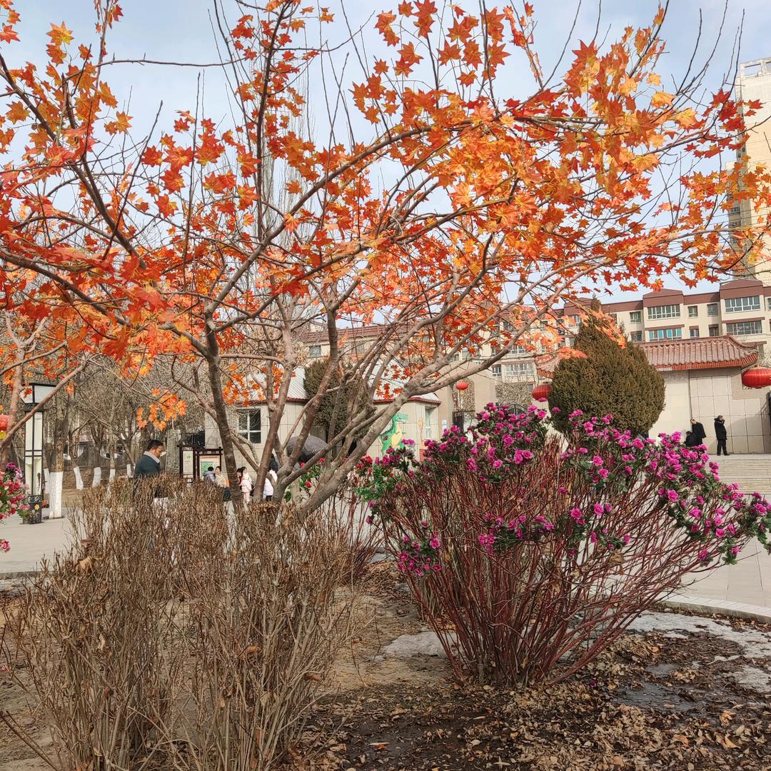 忘记过去从头在来